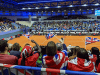 fedcup celebration celebrate yay wave GIF