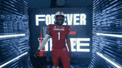 College Football GIF by gamecocksonline