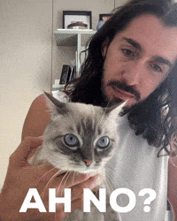 Ah No GIF