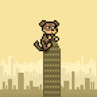 New York Nyc GIF by Doginal Dogs