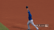 World Series Celebration GIF by MLB