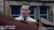 Frustrated Fed Up GIF by MASTERPIECE | PBS