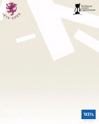 Ball Umpire GIF by Somerset County Cricket Club