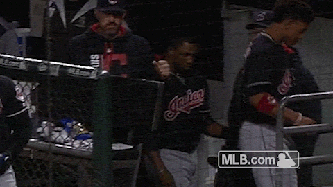 terry wow GIF by MLB