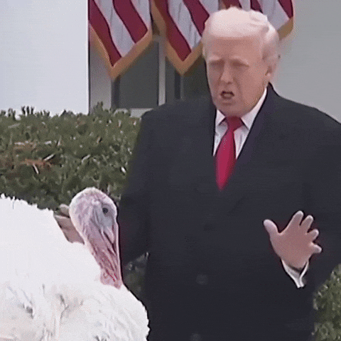 Donald Trump Thanksgiving GIF by Respective