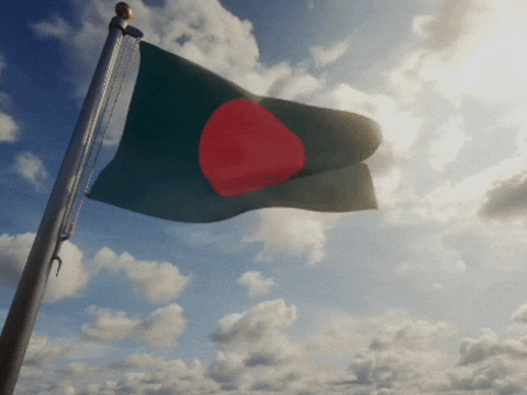 Bangladesh Bd Flag GIF