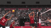 United States Jump GIF by Volleyball World
