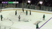 Florida Everblades Hockey GIF by Orlando Solar Bears