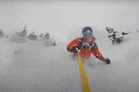 GIF by Odell Brewing Company