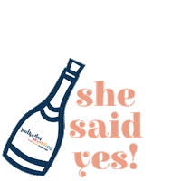 Champagne Proposal Sticker by Polka Dot Wedding