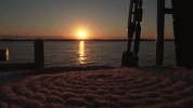 st. augustine travel GIF
