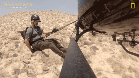 Nat Geo Jump GIF by National Geographic Channel