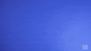 G Men Sport GIF by New York Giants