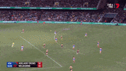 round 19 goal GIF by Adelaide Crows