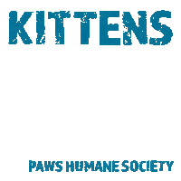 Cat Kitty Sticker by Paws Humane Society