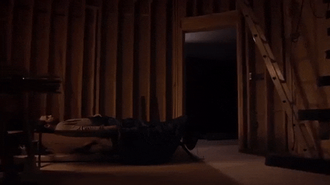 prawn GIF by Topshelf Records