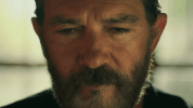 antonio banderas GIF by Amazon Studios