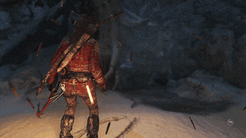 video games eidos GIF by Tomb Raider