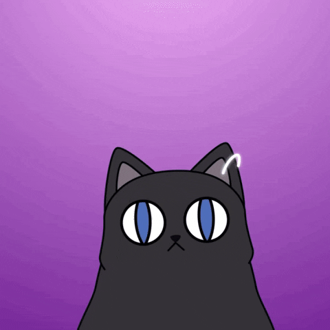 Cat Laughing GIF by Visual Smugglers