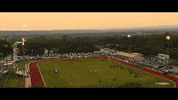 Home And Away Football GIF by James Dupré
