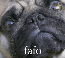 Angry Find Out GIF by Sealed With A GIF