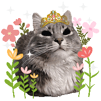 Star Sticker
