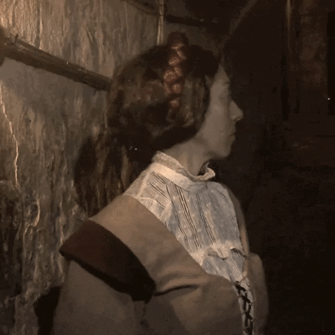 TheRealMaryKingsClose wtf surprised proud seriously GIF