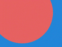 CZNL_94 flower sun rise sun flower gif by cznl GIF