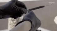 viceland GIF by Bong Appetit