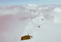 GIF by Adam Ferriss