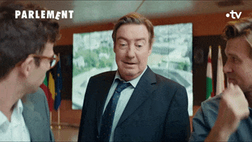 Feelings Humour GIF by France tv