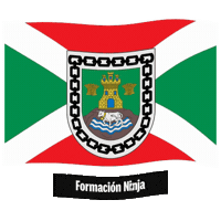 Castilla Y Leon Flag Sticker by Formación Ninja