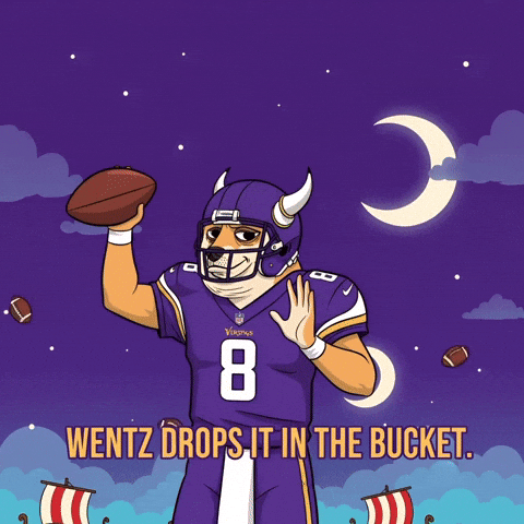 Minnesota Vikings Football GIF by Doge Pound