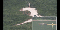 Climate Change Education GIF by DIIMSA Stock