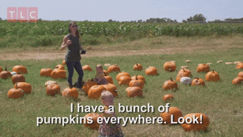 Bunch of Pumpkins