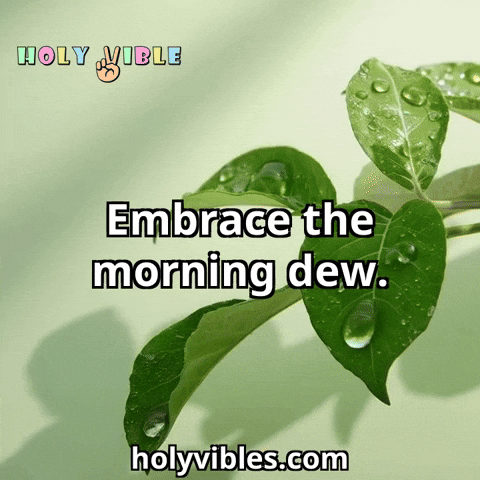 Morning Embrace GIF by Holy Vibles