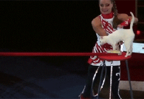tada GIF
