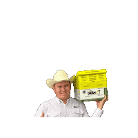 Biobest campo abejorro biobest biobestmx Sticker