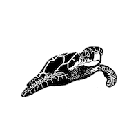 Sticker by Isla Tortuga Divers
