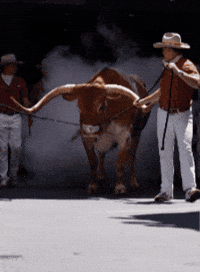 Texas Football GIF by Texas Longhorns