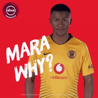 south african soccer GIF