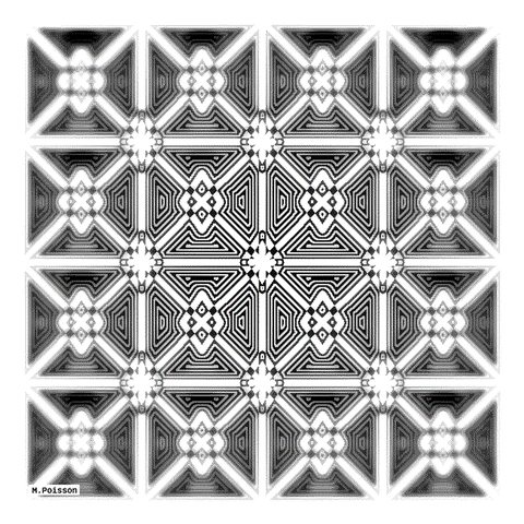 b&w art GIF by Michel Poisson