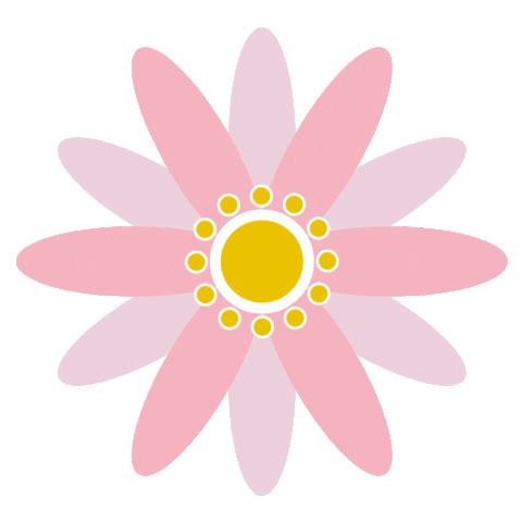 Flower Spring Sticker by Cascar Studio