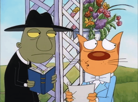 nicksplat GIF