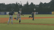 home run baseball GIF