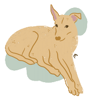 Sticker by angielucoach