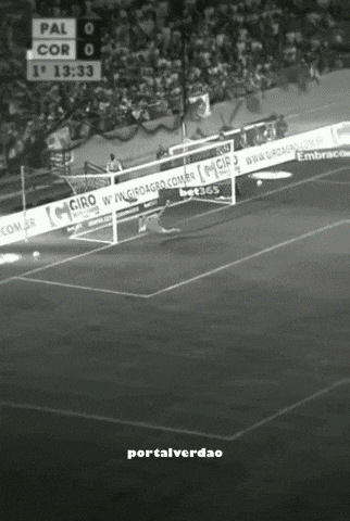 portalverdao palmeiras porco sep portalverdao GIF