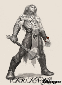 picture viking GIF