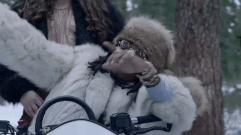 music video GIF by Migos
