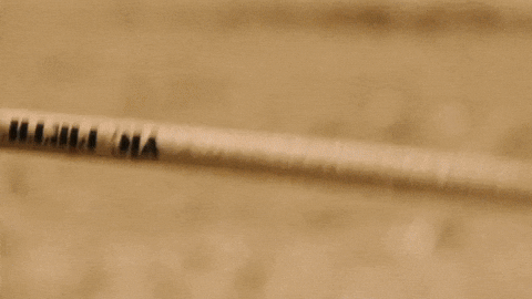 Drumming Music Video GIF by Porter Bliquez